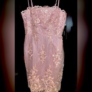 Lulu Pink spaghetti, strap sequins lined dress, hidden zipper / clasp! NWT